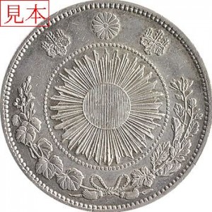 coin119